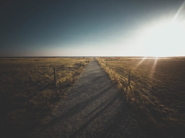 Sunrise over field