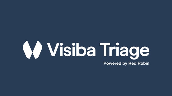visiba_triage_blue